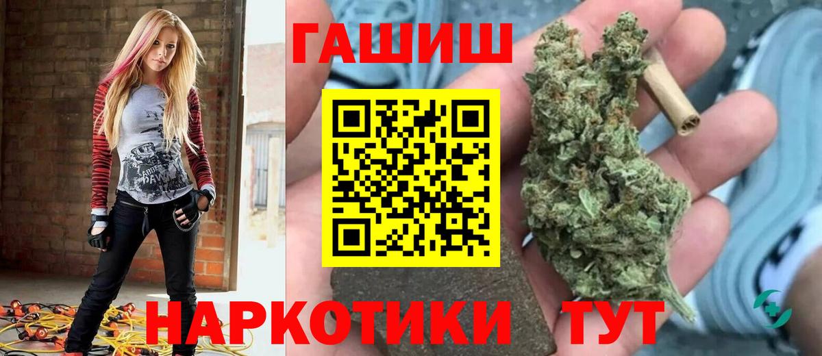 Сланцы  ГАШ Ice-O-Lator  Вход с VPN  ГАШ  Гашиш Premium 