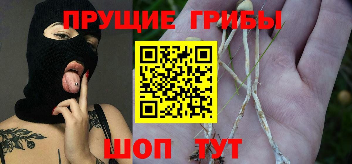 Сланцы  Галлюциногенные грибы GOLDEN TEACHER  Псилоцибиновые грибы ЛСД  Вход с VPN 