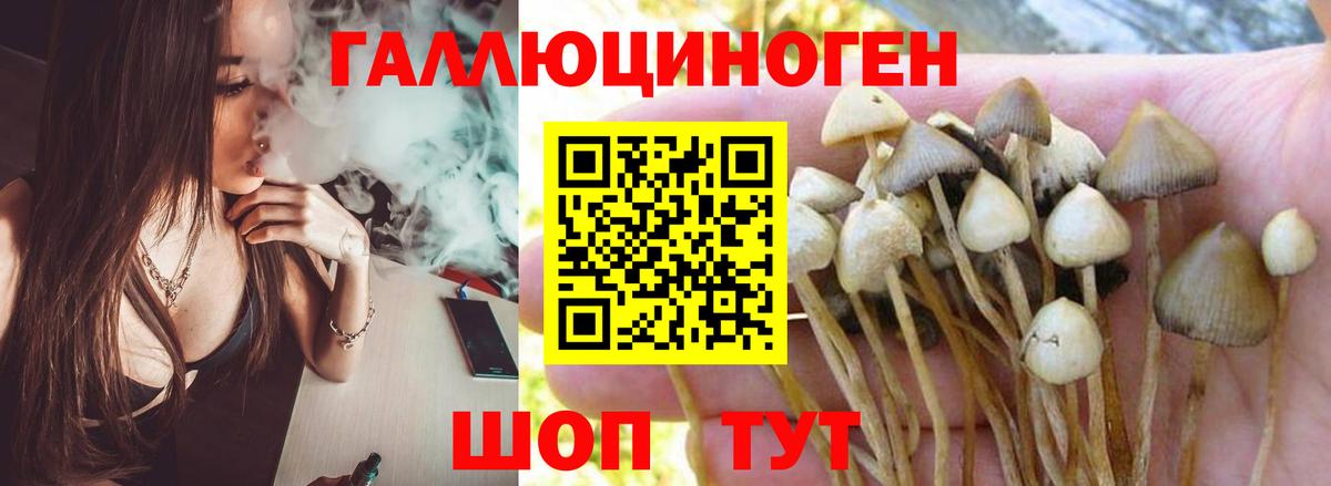 Псилоцибиновые грибы MAGIC MUSHROOMS Сланцы